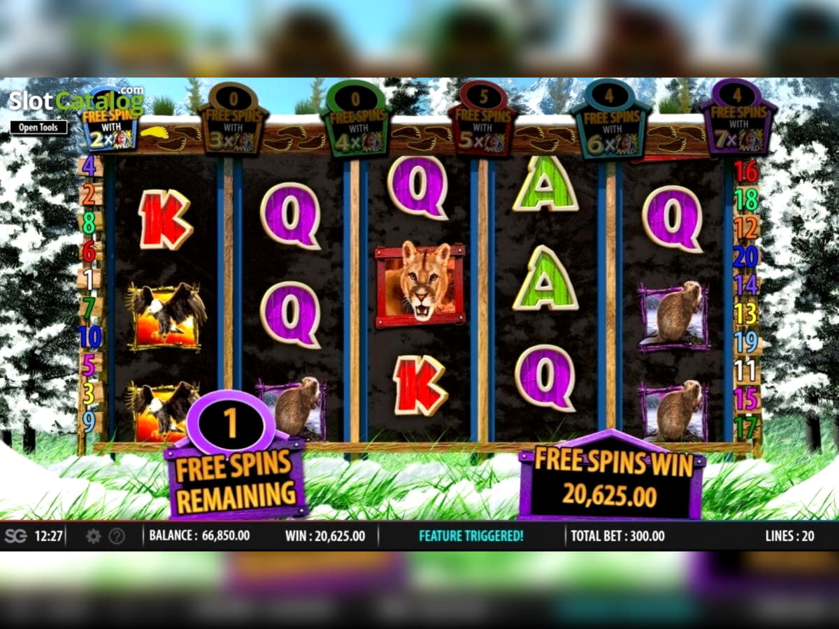 Eur 245 Casino tournaments freeroll at bWin Casino