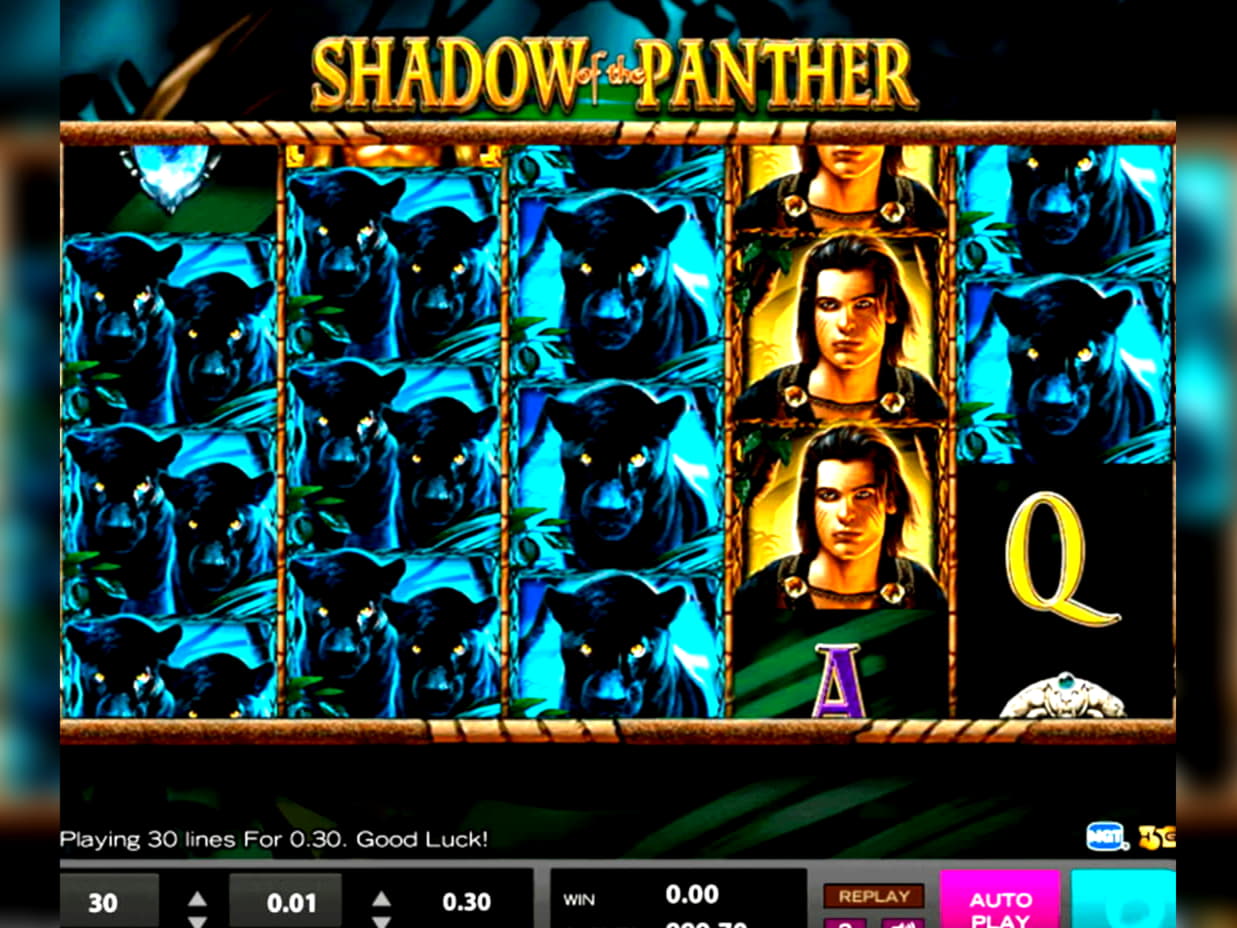 305% Signup casino bonus at Inter Casino