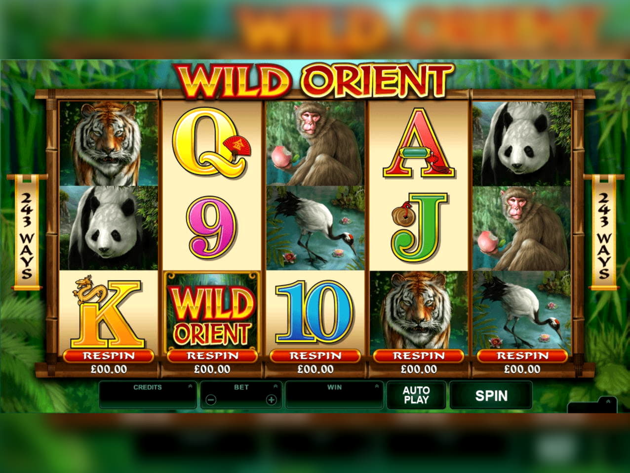 Eur 290 Daily freeroll slot tournament at Royal Vegas Casino