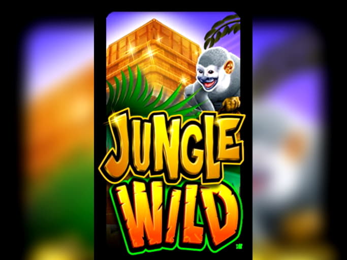 $55 Daily freeroll slot tournament at Euro Palace Casino