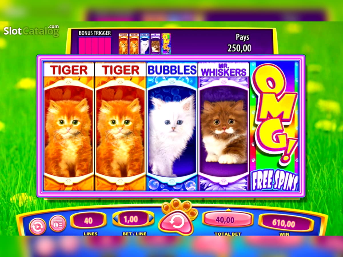 Eur 310 Free casino chip at Yukon Gold Casino