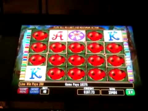 Eur 120 Free Casino Tournament at Grand Hotel Casino