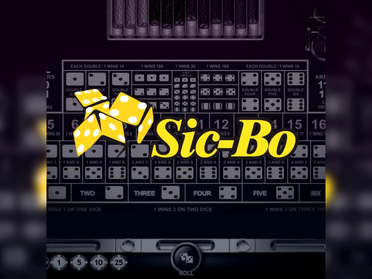 EUR 590 casino chip at bWin Casino