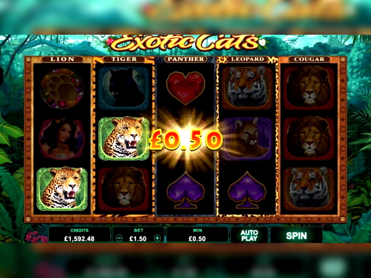 £825 Casino tournaments freeroll at Casino Action