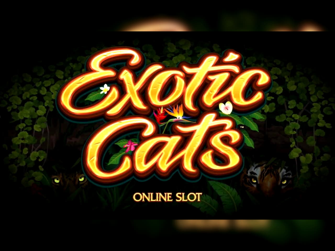 155 Free Spins right now at Betway Casino