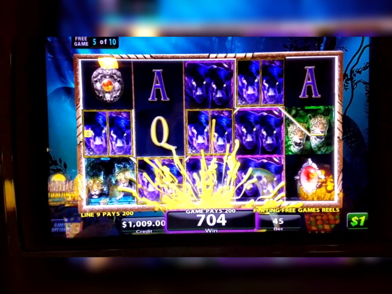 EURO 325 Free Chip at Omni Casino