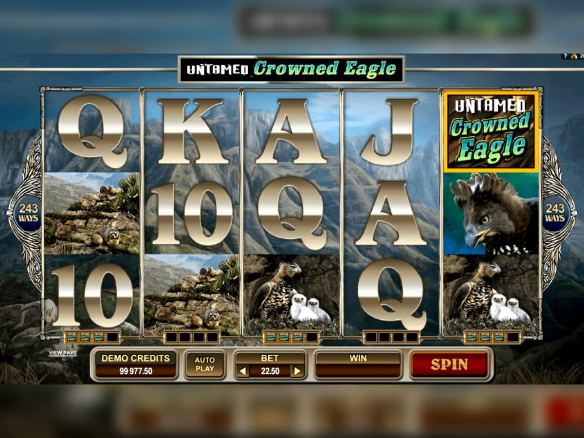 €385 Daily freeroll slot tournament at Cashpoint Casino