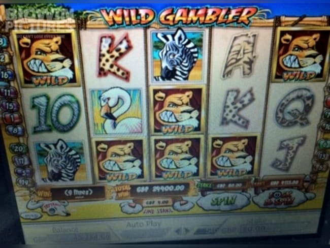 ﻿$77 Daily freeroll slot tournament at Bet Rebels Casino