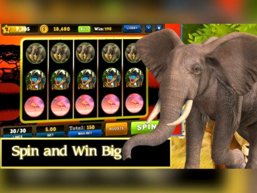 EURO 425 Free chip at Spin Palace Casino