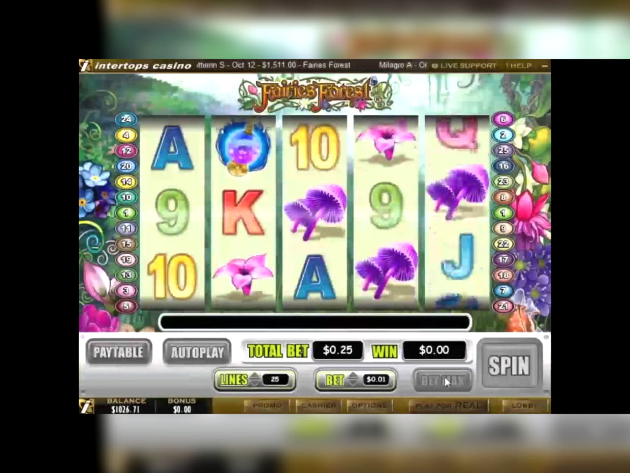 £395 Daily freeroll slot tournament at Joy Casino
