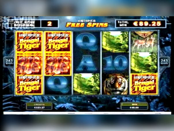 135 Free spins at River Belle Casino