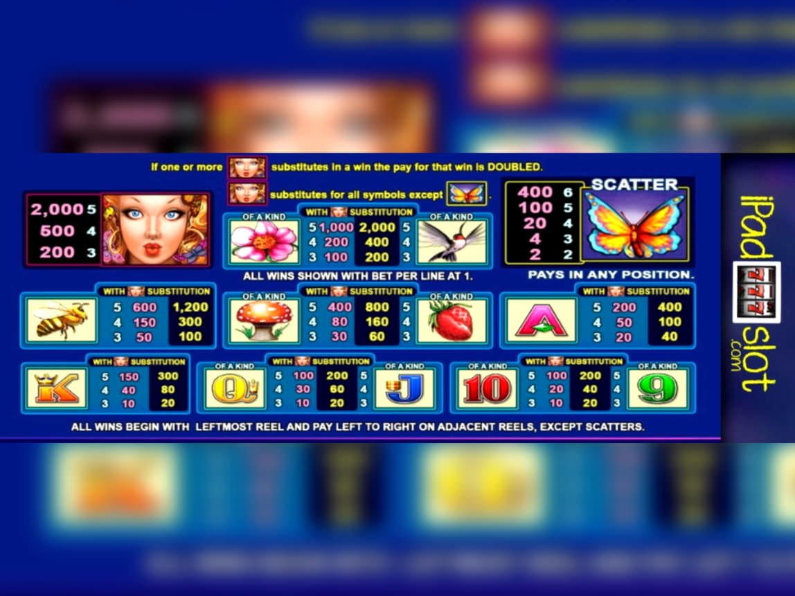 £455 Daily freeroll slot tournament at Casino Action