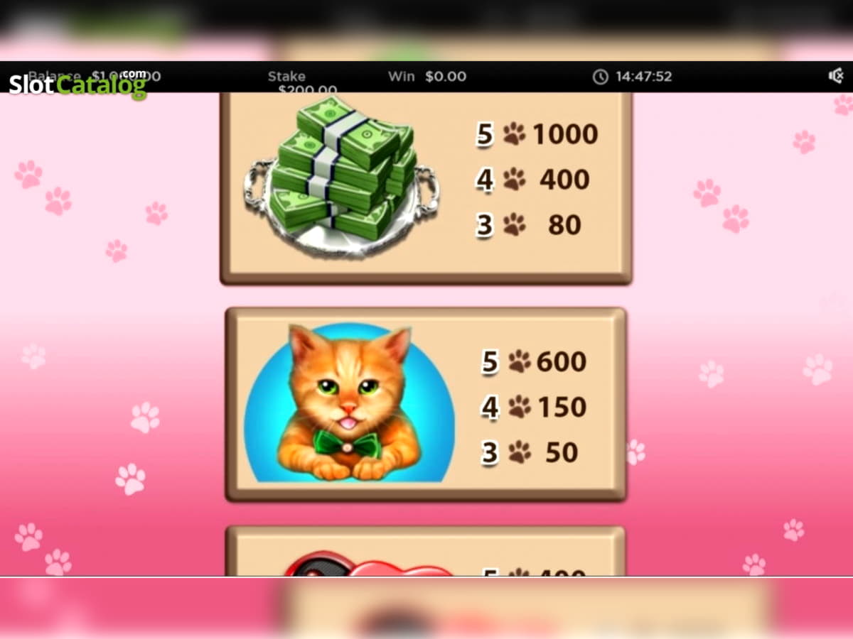 EURO 1020 No deposit casino bonus at Joy Casino