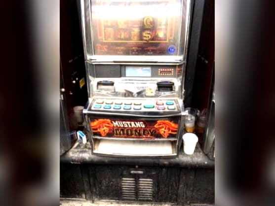﻿$3060 No deposit bonus at Yukon Gold Casino