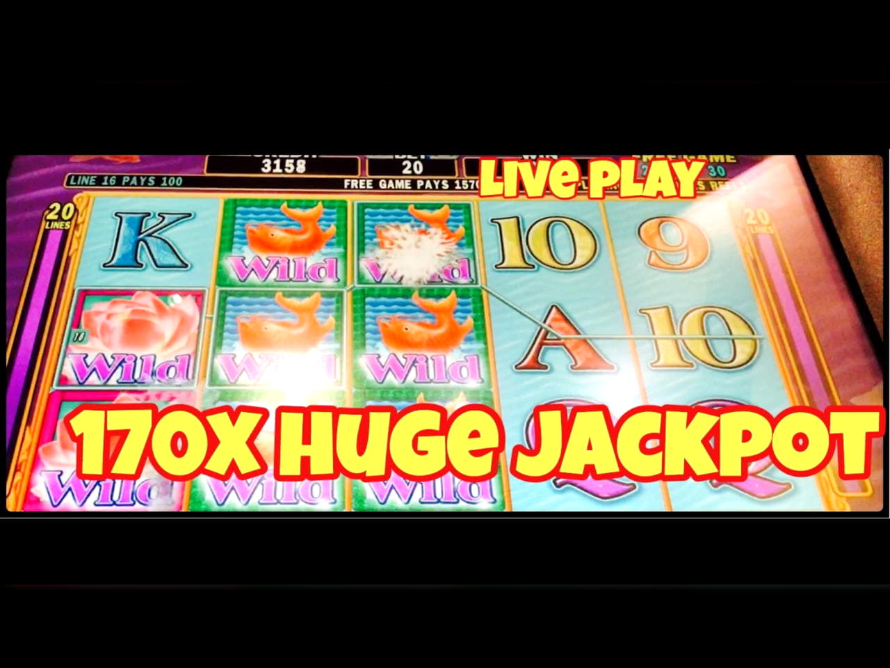 295 Free Spins at LSbet Casino