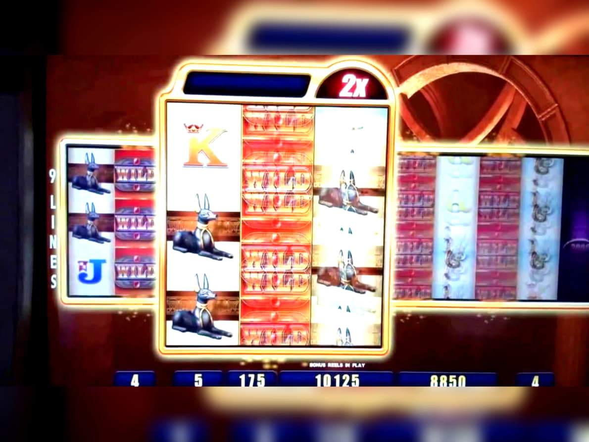 495% No Rules Bonus! at Yukon Gold Casino