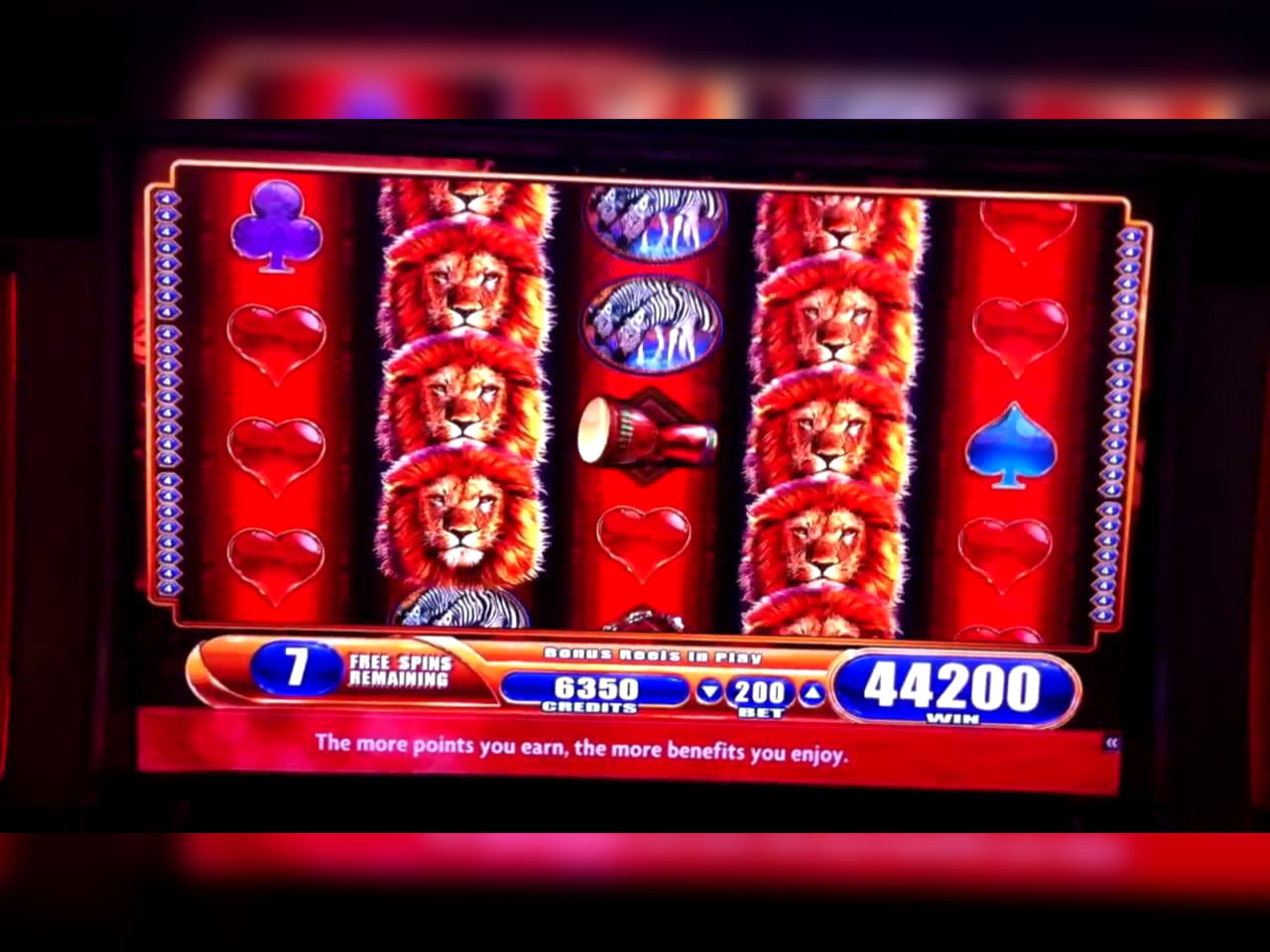 $4185 NO DEPOSIT BONUS at Zodiac Casino