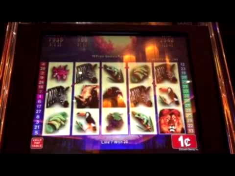 EURO 470 Free Cash at Yukon Gold Casino