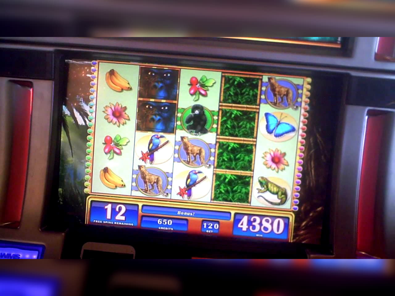 €2505 NO DEPOSIT CASINO BONUS at Seven Cherries Casino