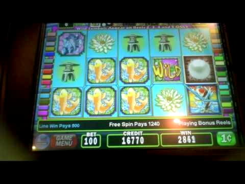 45 Loyal Free Spins! at Casino com