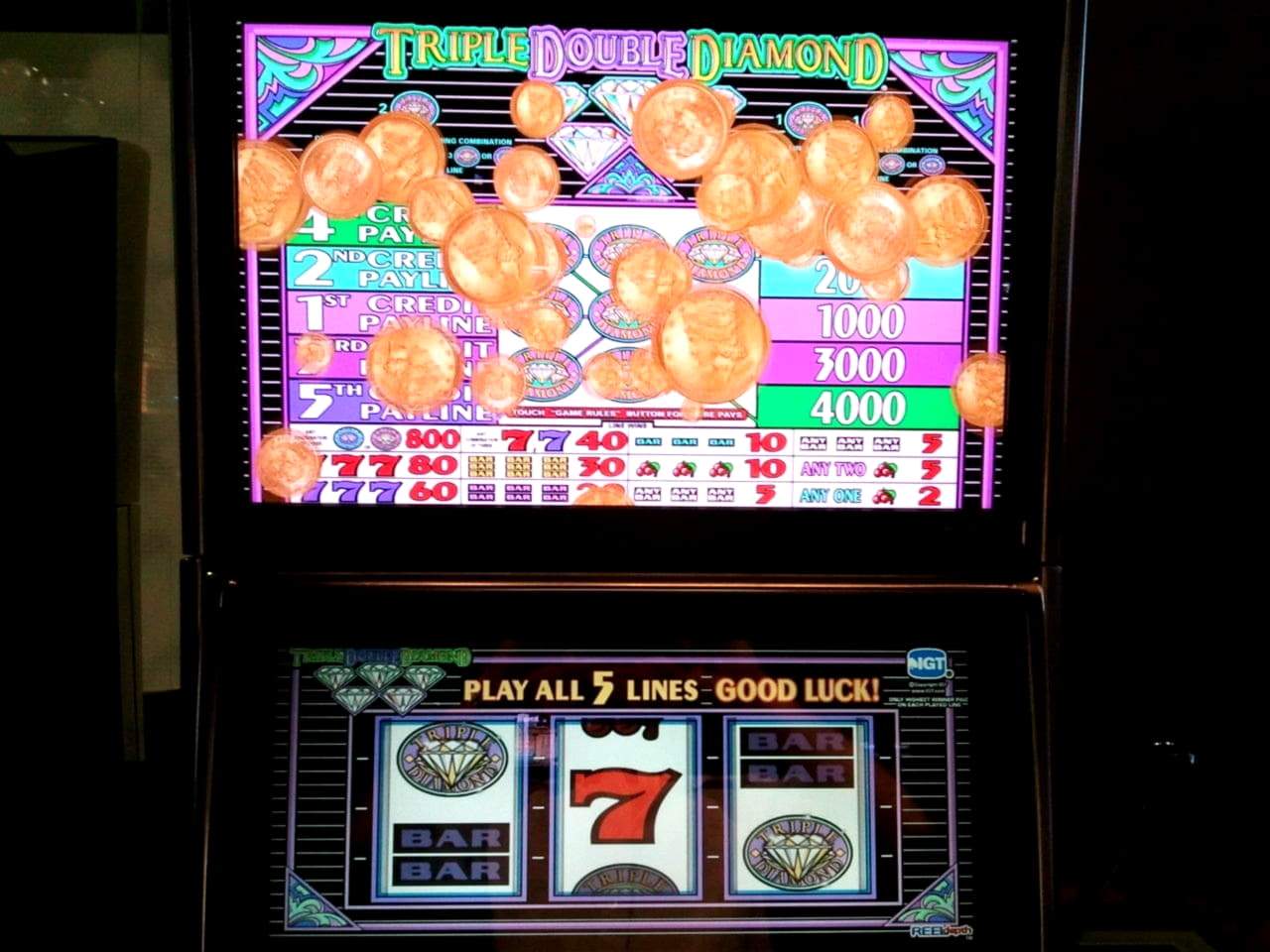 60 Loyal Free Spins! at Euro Palace Casino