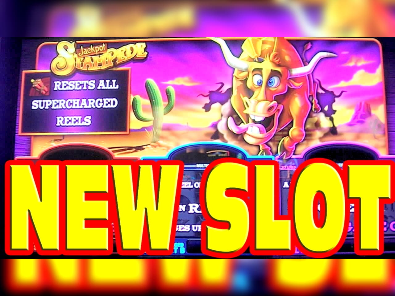 380% No Rules Bonus! at Zodiac Casino