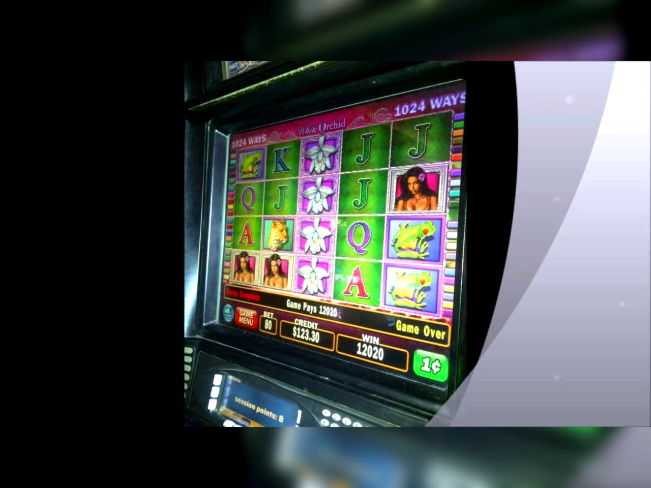 225% First Deposit Bonus at Casino Action