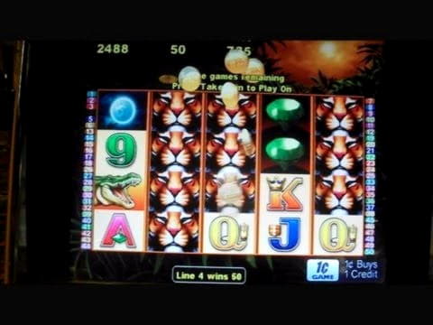 €800 Tournament at Yukon Gold Casino