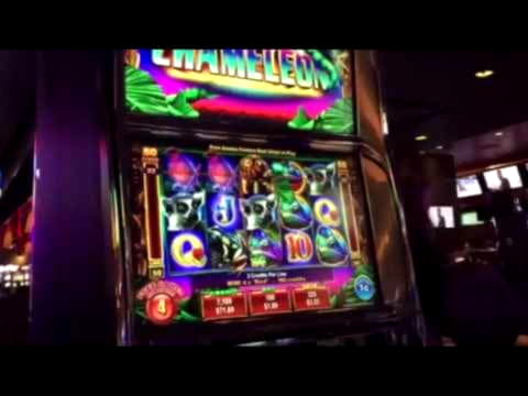 €1070 NO DEPOSIT BONUS at Cashpoint Casino
