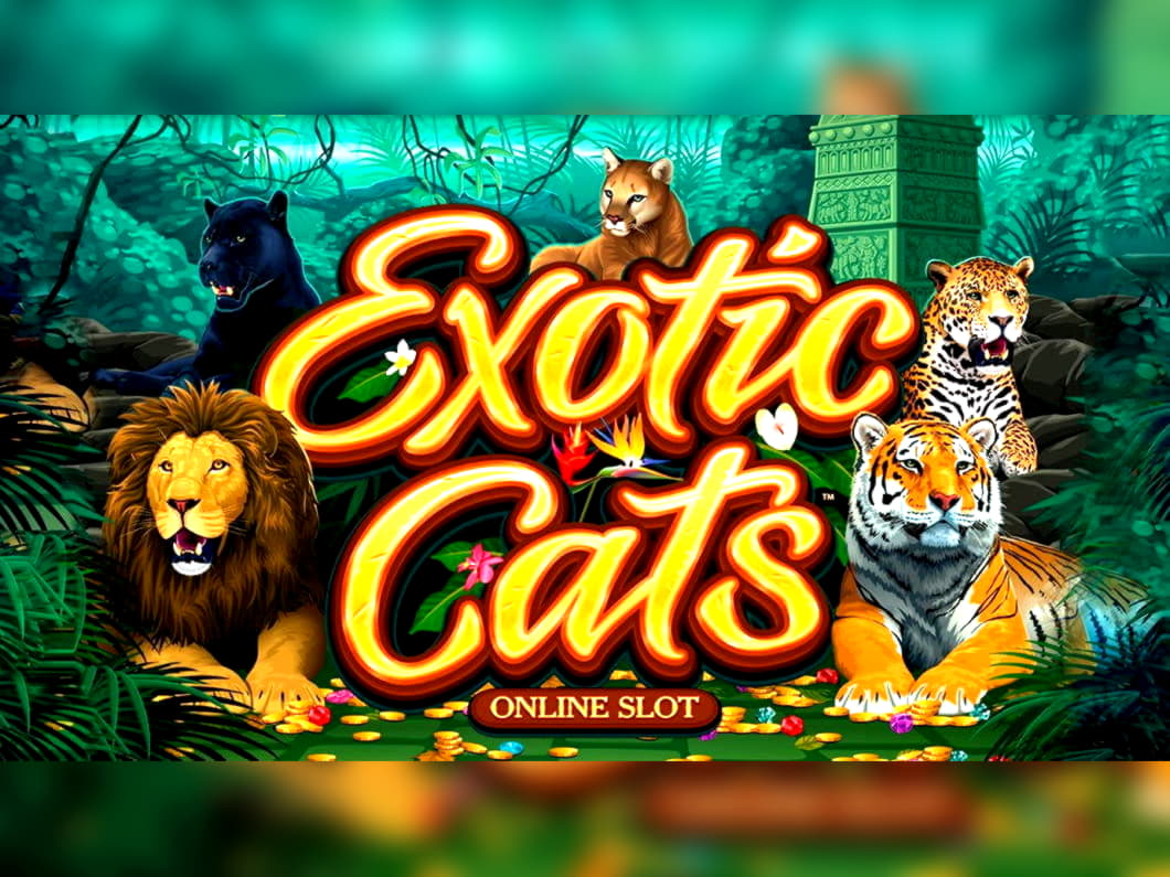 EURO 575 Tournament at Inter Casino