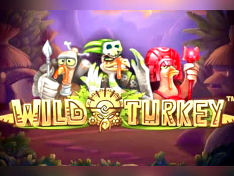 Eur 950 Online Casino Tournament at Cashpoint Casino