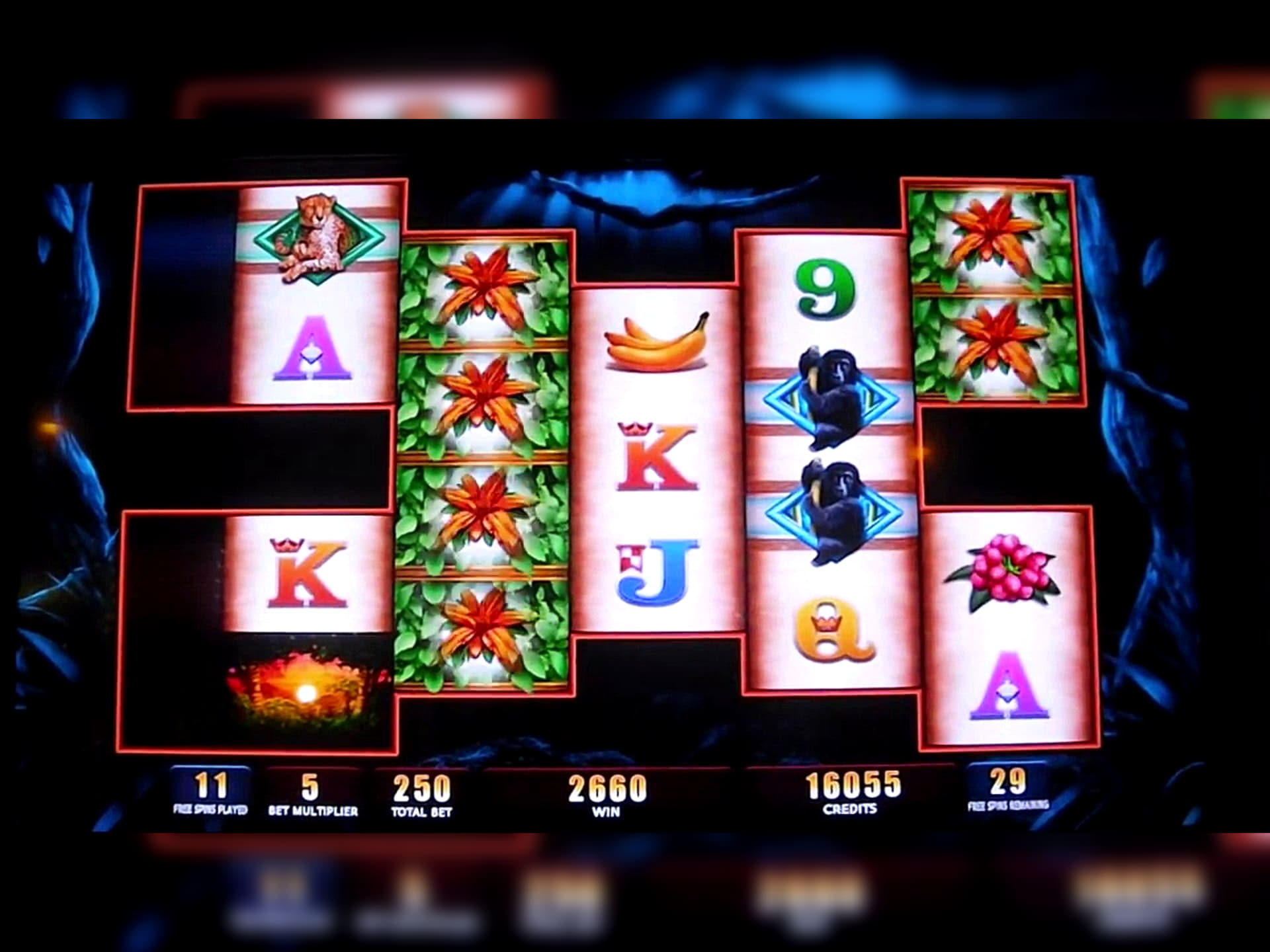 ﻿$333 Free casino chip at Cashpoint Casino