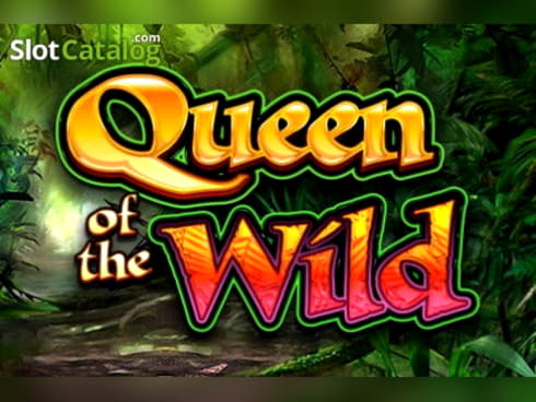 Eur 710 Daily freeroll slot tournament at Cashpoint Casino