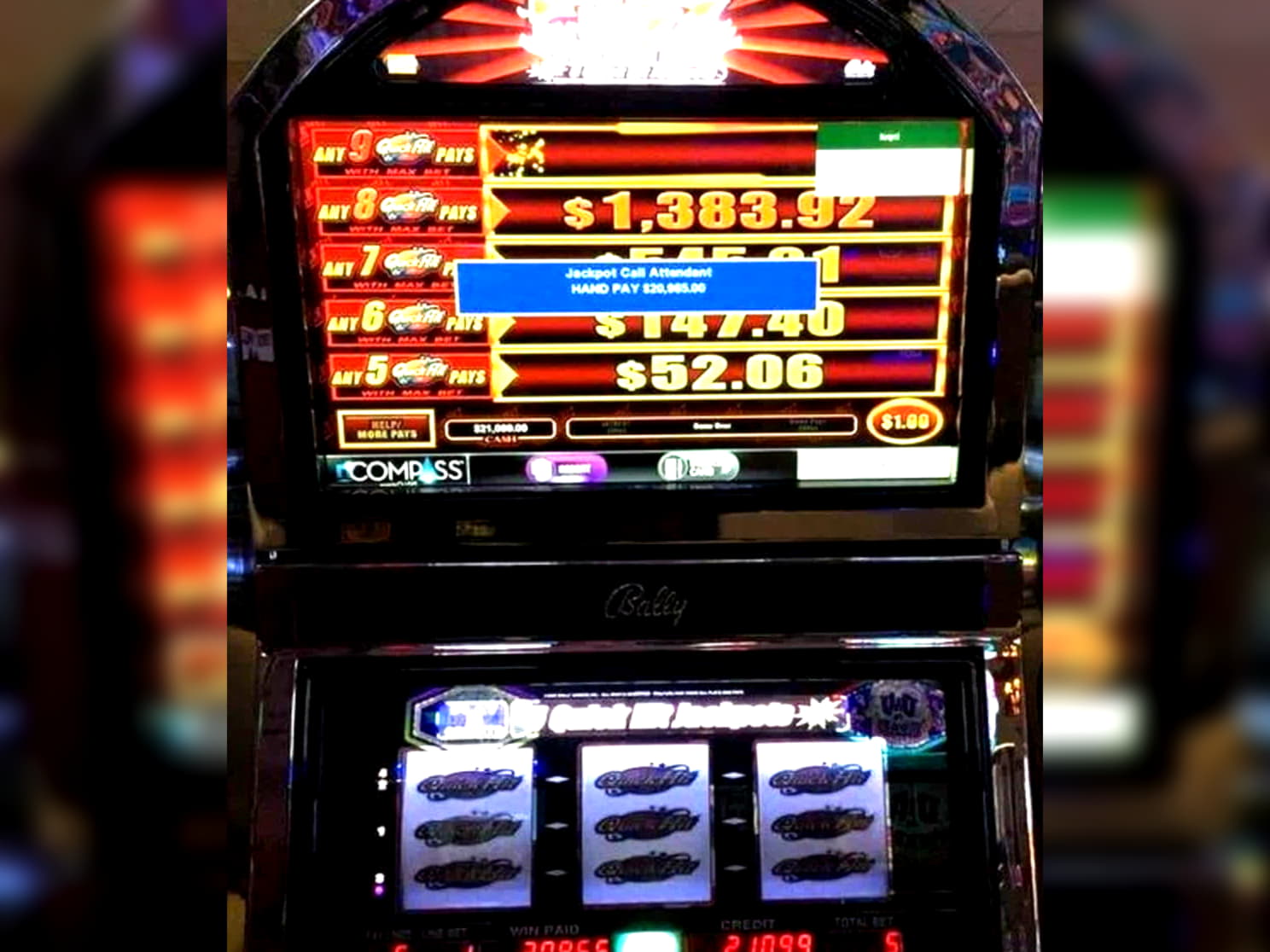 EURO 315 Free Money at LSbet Casino