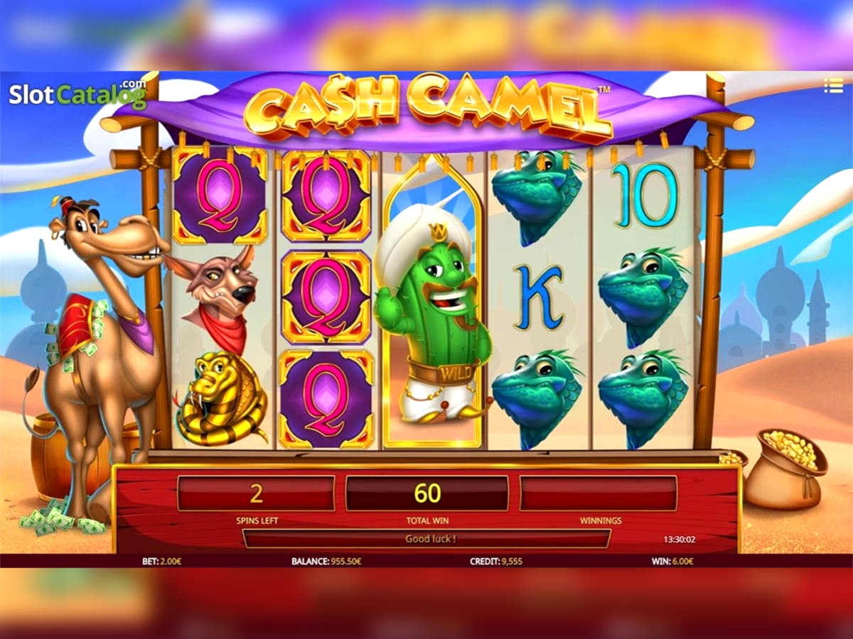 £925 Daily freeroll slot tournament at Inter Casino