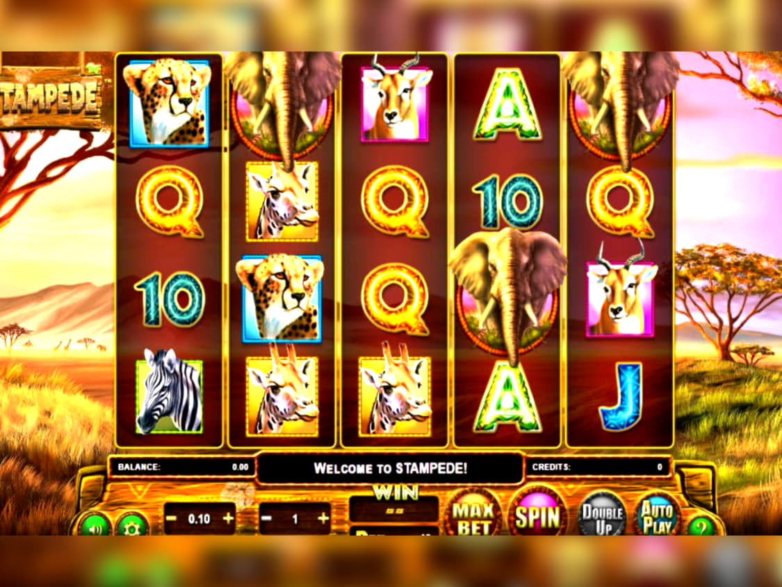 $4600 No Deposit Bonus Code at Casino com