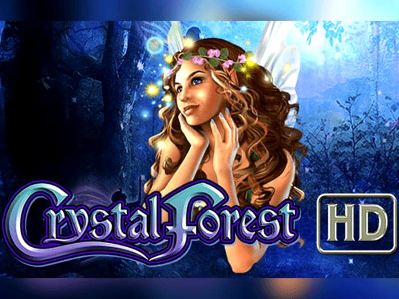 785% No Rules Bonus! at Inter Casino