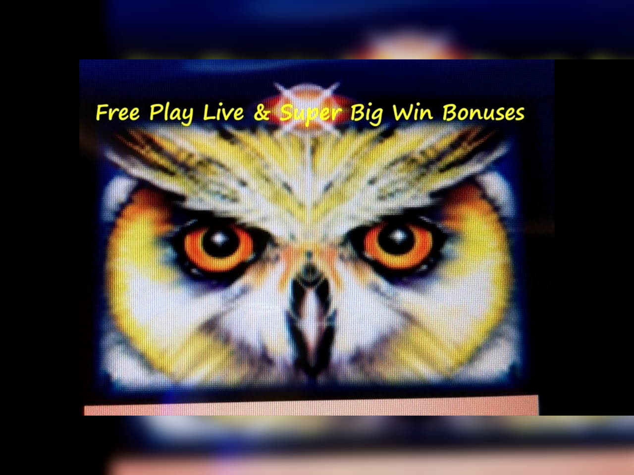 35 Free spins casino at Royal Dubai Casino