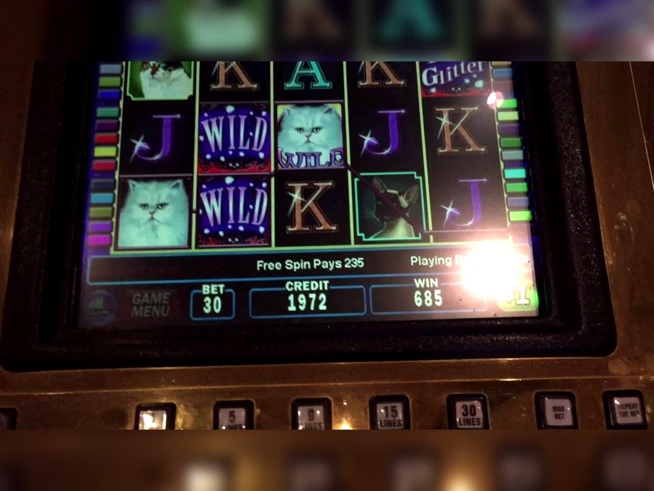 £4405 No Deposit Bonus Code at Platinum Play Casino