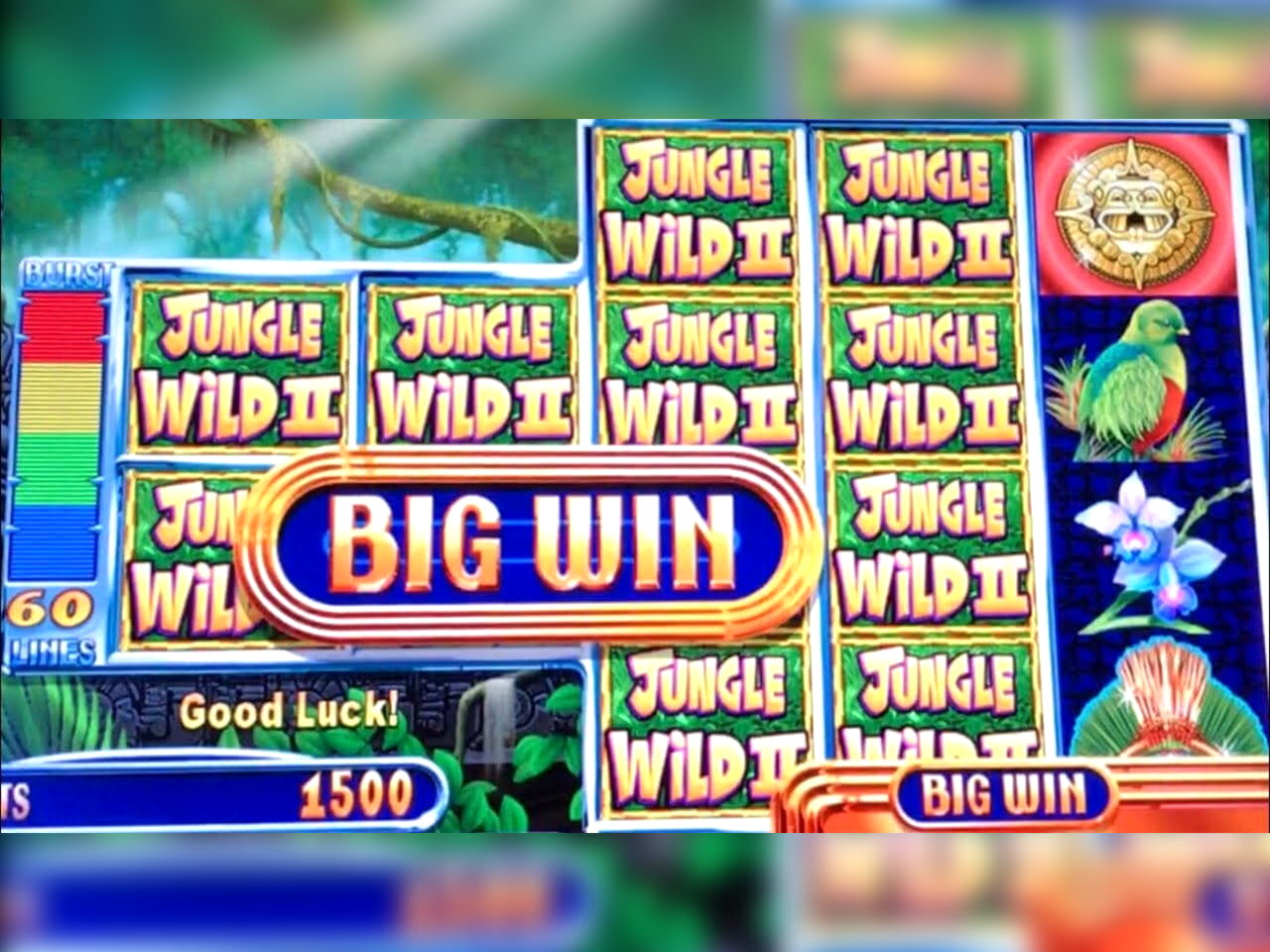 ﻿$3315 No deposit bonus at Platinum Play Casino