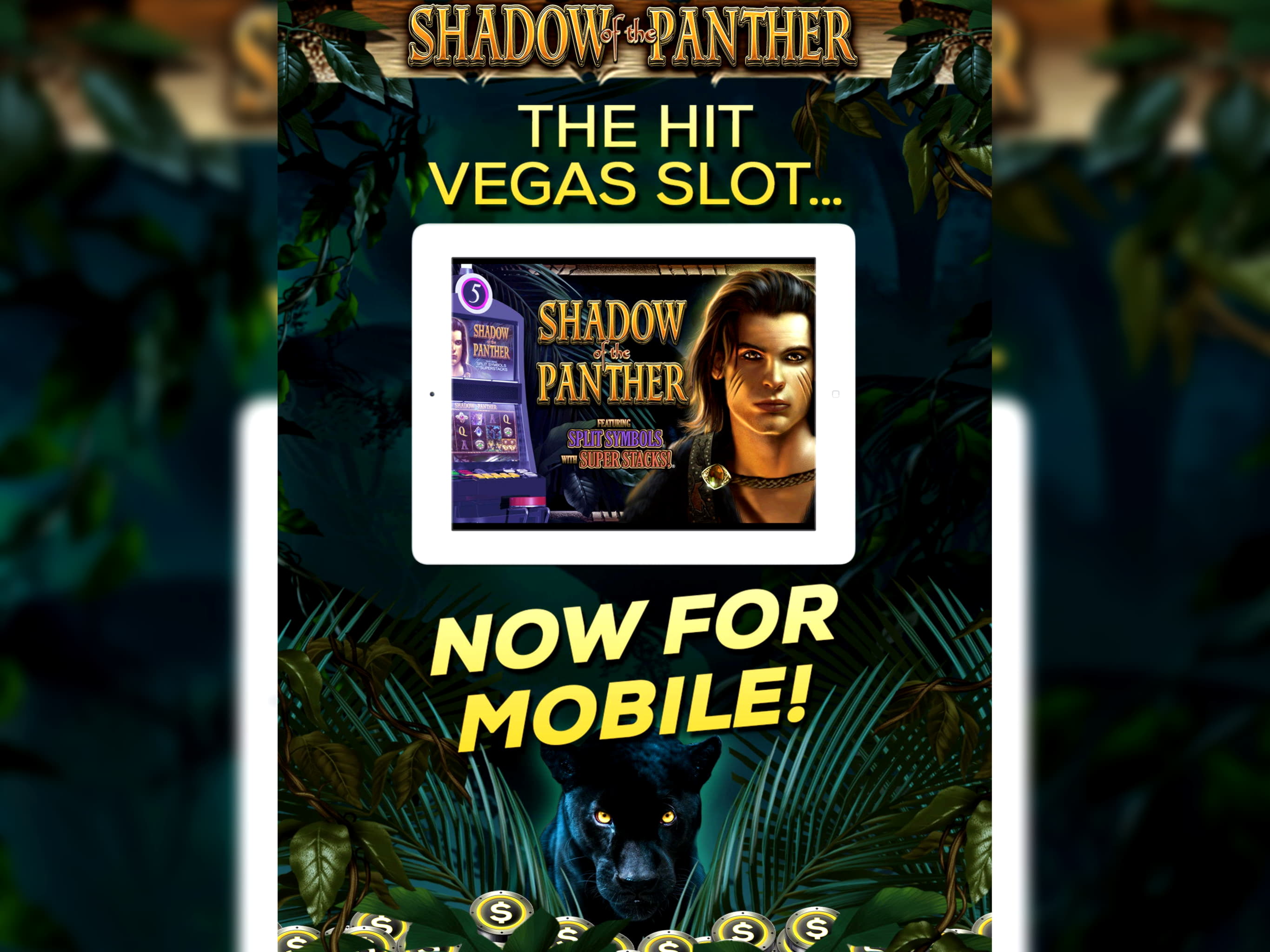 665% First Deposit Bonus at Cashpoint Casino