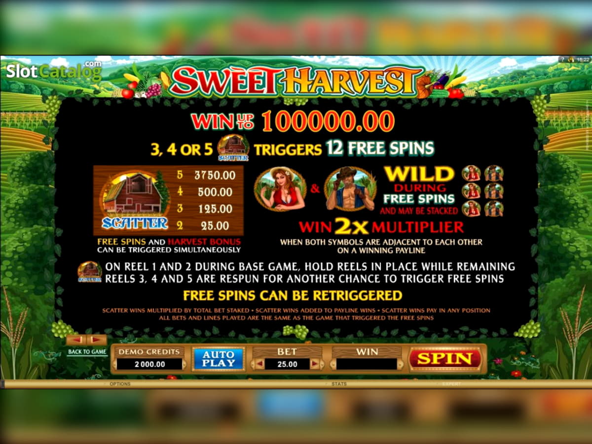£600 Casino Tournament at La Fiesta Casino
