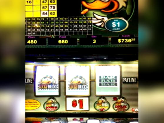 195 Loyal Free Spins! at Casino Action