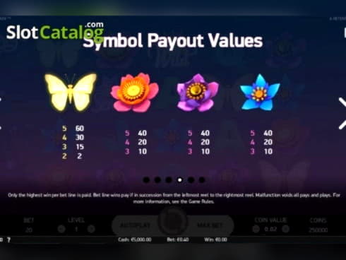 50% Match bonus casino at Royal Dubai Casino