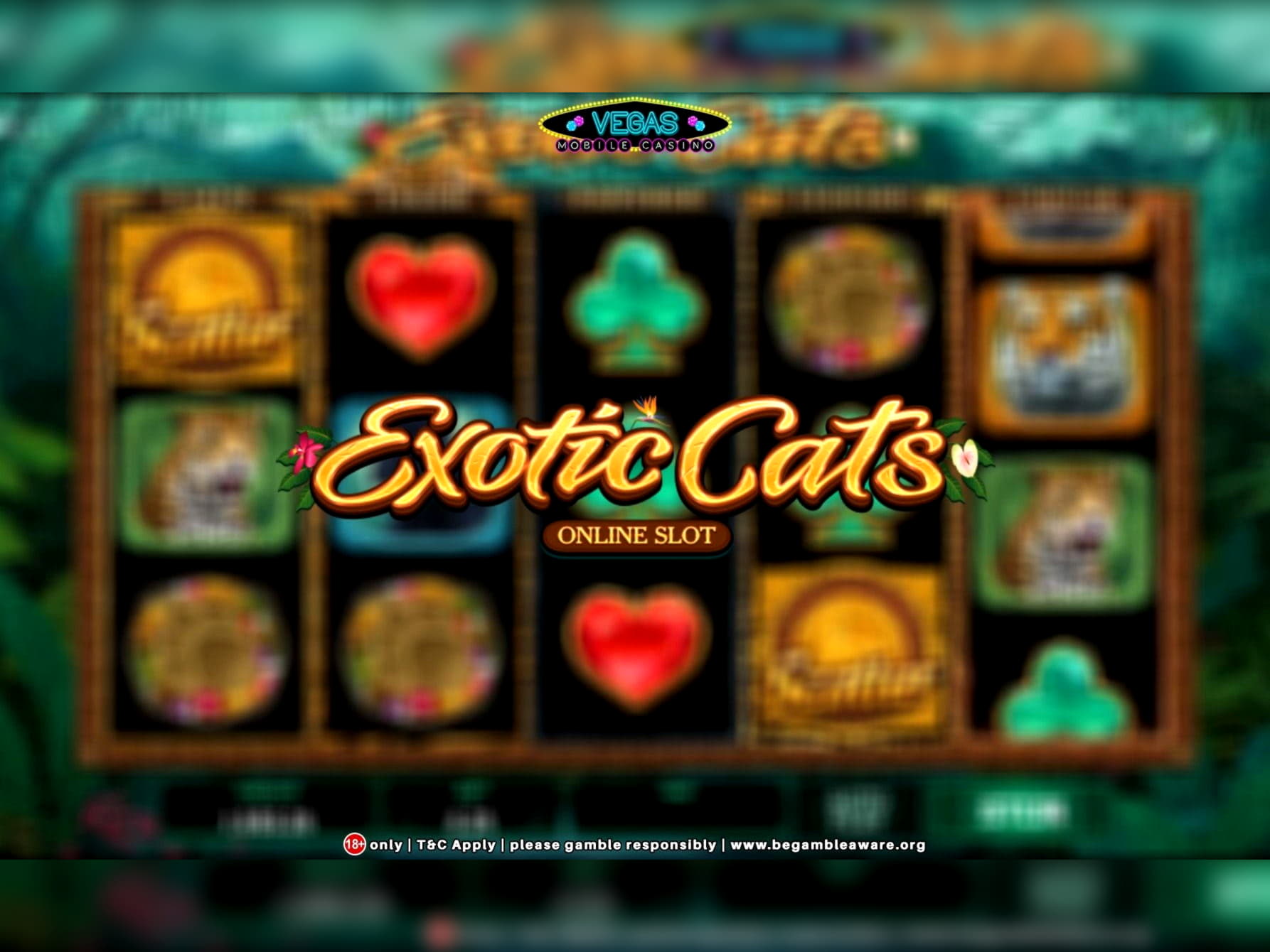 EURO 55 FREE Chip at Luxury Casino