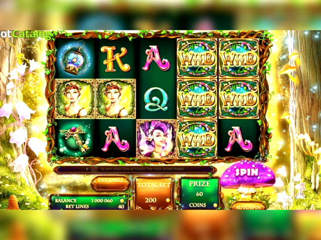 $310 Daily freeroll slot tournament at Joy Casino