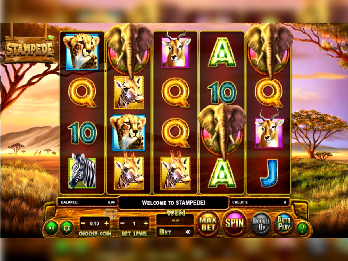 $400 Mobile freeroll slot tournament at Royal Dubai Casino