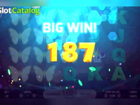 $945 Casino Tournament at Club Gold Casino