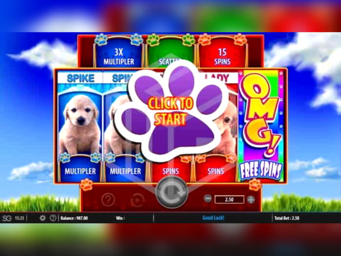 35% Signup casino bonus at Spin Palace Casino