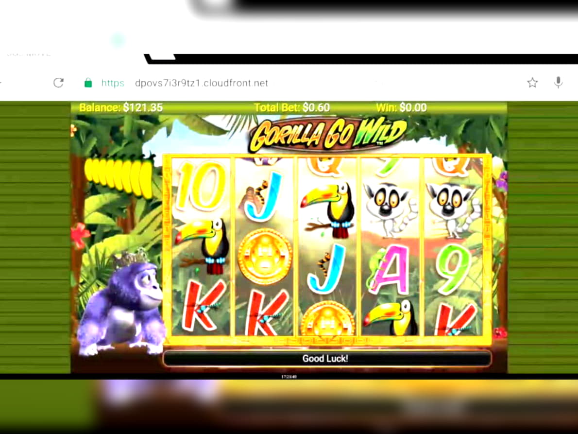 125 Free Spins at Spin Palace Casino